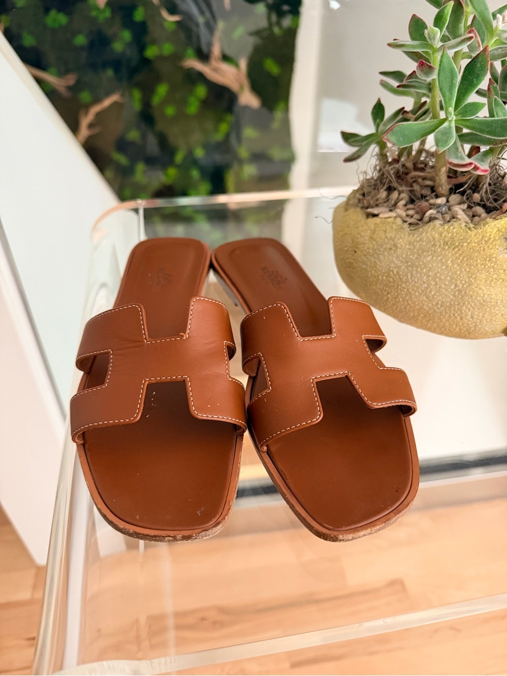 Hermes Oran